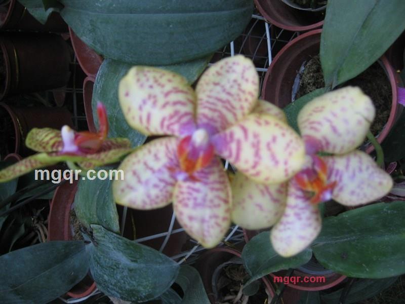 dfbb的第5张照片