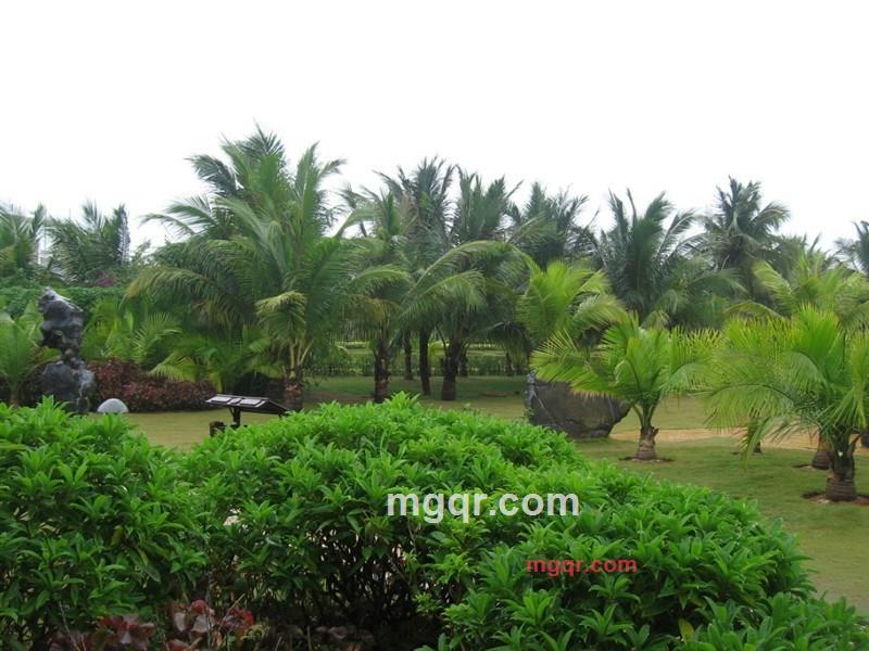 dfbb的第23张照片