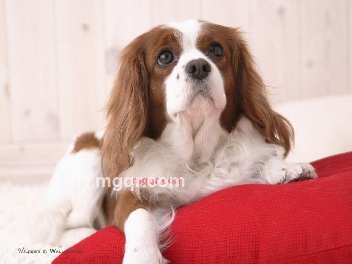 ~寻觅~的第26张照片