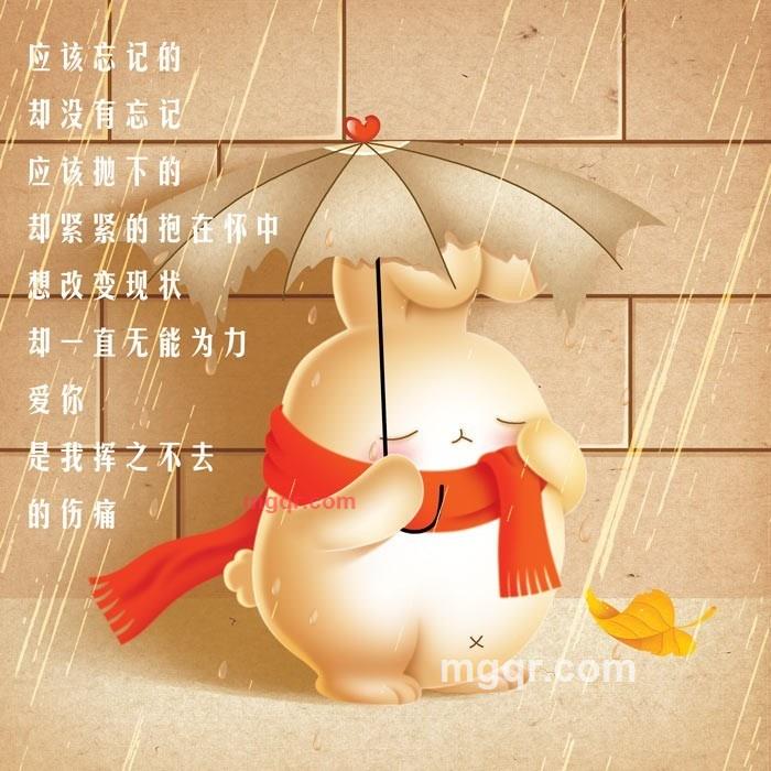 ~寻觅~的第28张照片