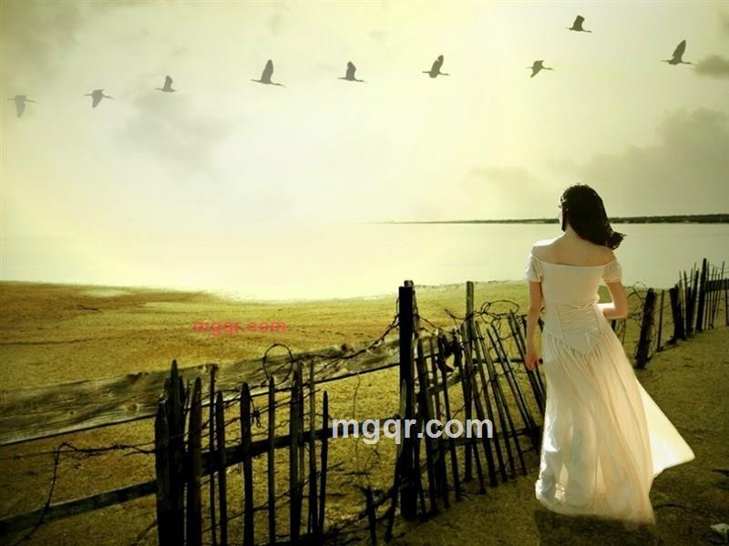 ~寻觅~的第15张照片