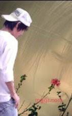 Parada、尐P的第1张照片