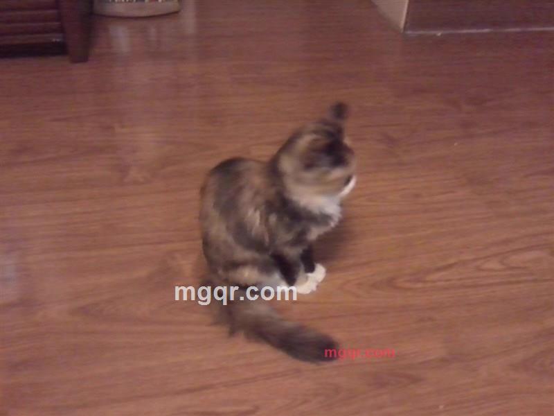 rwmlla的第6张照片