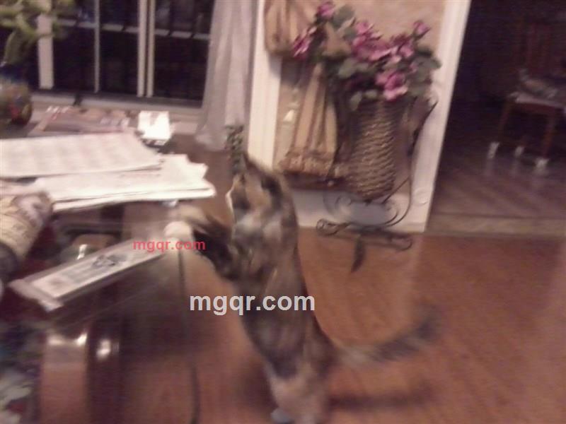 rwmlla的第4张照片