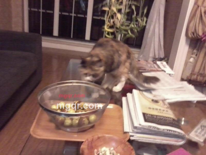 rwmlla的第5张照片