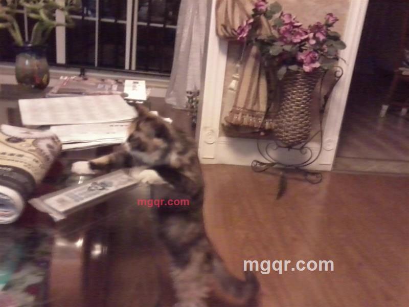 rwmlla的第3张照片