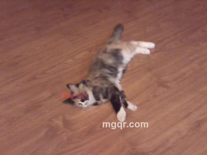 rwmlla的第1张照片