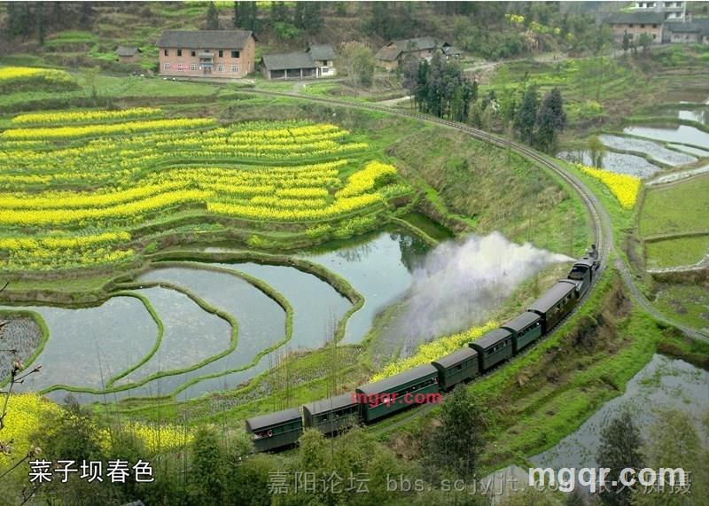 钟爱的第3张照片