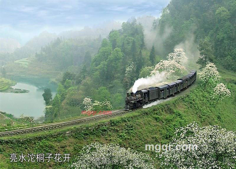 钟爱的第4张照片