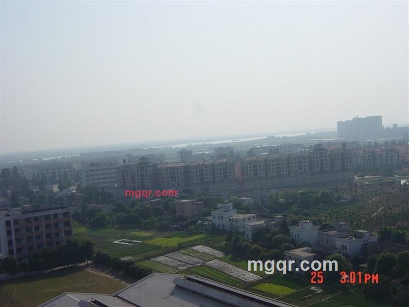 一生情缘的第11张照片