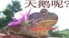 都市響馬的第1张照片