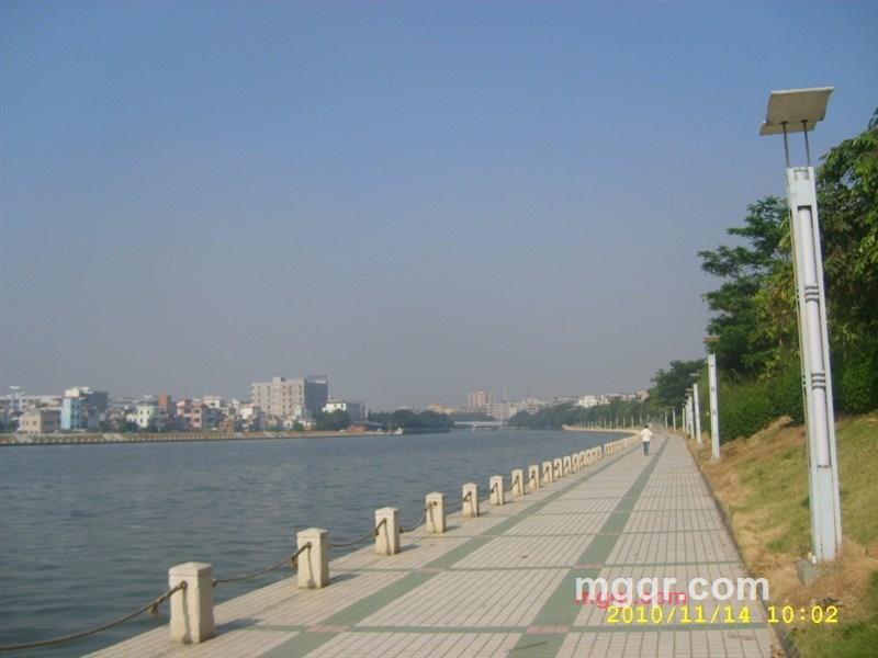 一生情缘的第5张照片