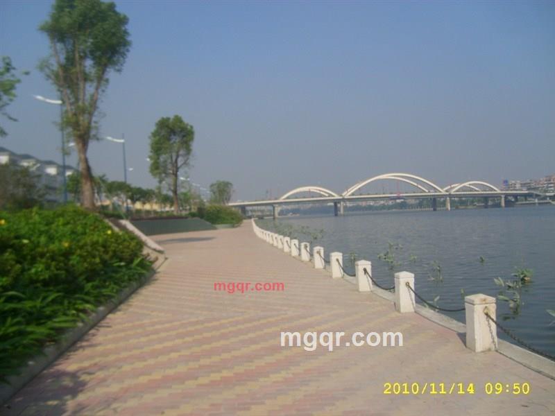 一生情缘的第6张照片