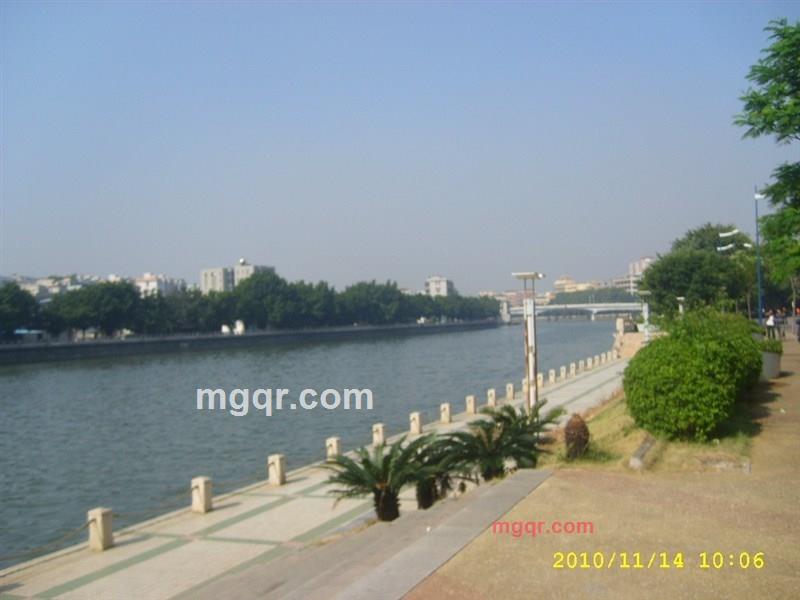 一生情缘的第4张照片