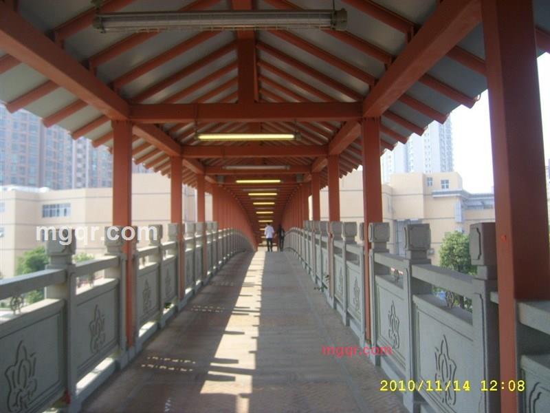 一生情缘的第2张照片