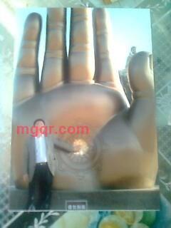 shenqiu的第2张照片