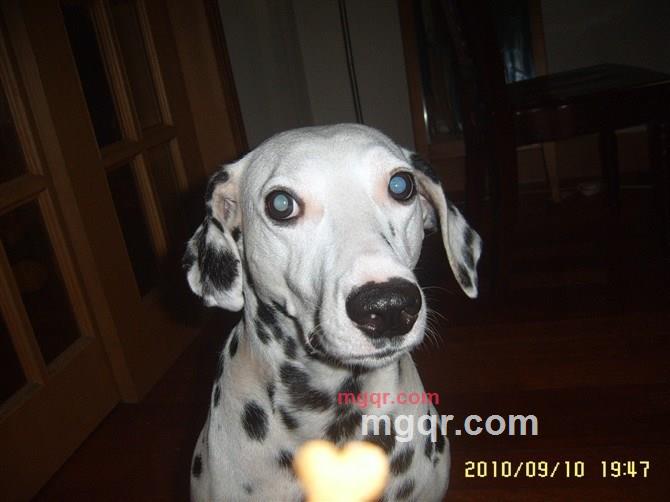 恋儿的第7张照片