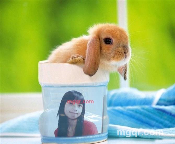 (り虎妞ゝ的第3张照片