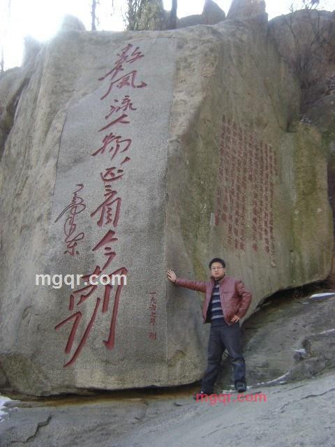 半个坏蛋的第2张照片