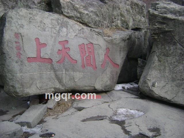 半个坏蛋的第1张照片