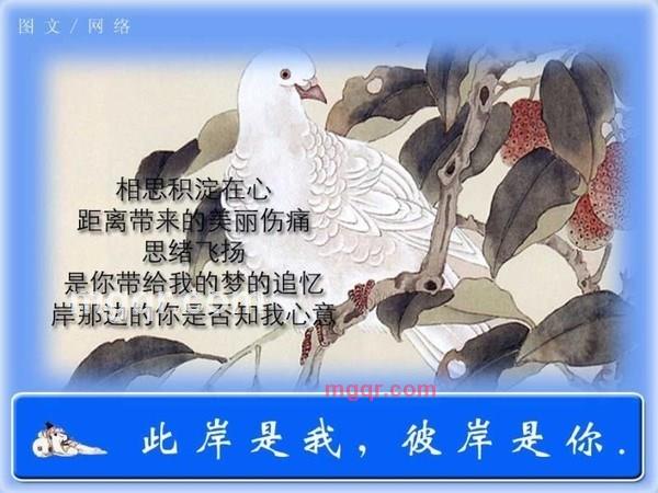 zaijian2010的第12张照片