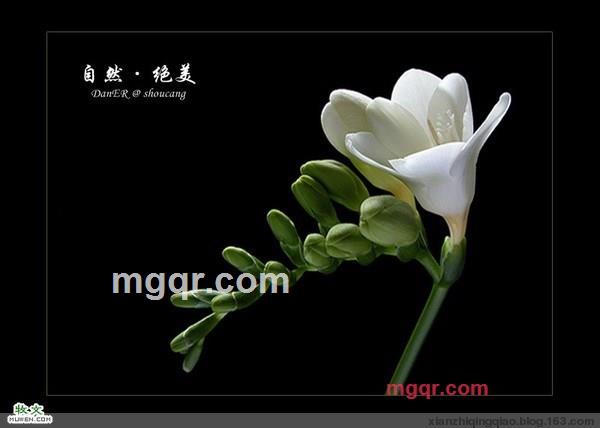 因♀果的第1张照片