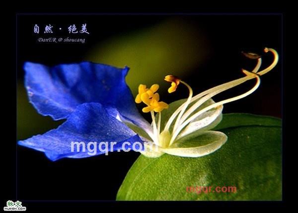 因♀果的第9张照片