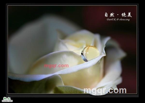 因♀果的第8张照片