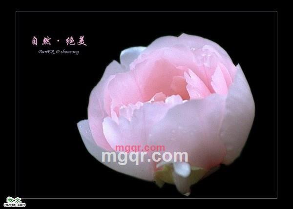 因♀果的第7张照片