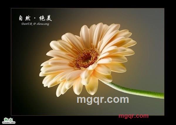 因♀果的第5张照片