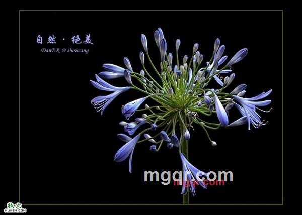 因♀果的第6张照片