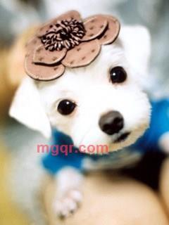 寻诸城女士做情人的第2张照片