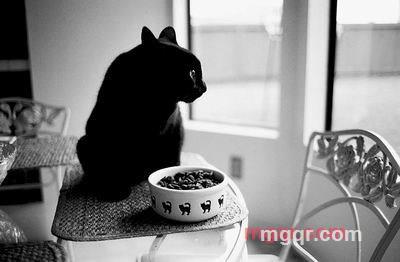 晨风夜露的第1张照片