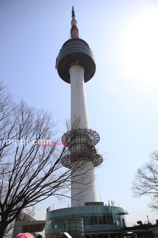 月下迷蝶的第4张照片