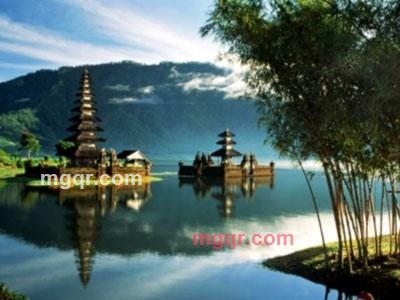 月下迷蝶的第3张照片