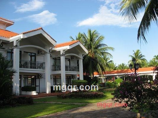 月下迷蝶的第2张照片