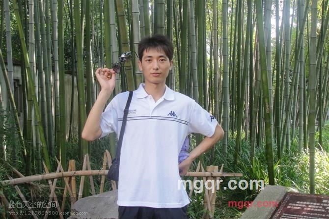 热玩的小猫的第3张照片