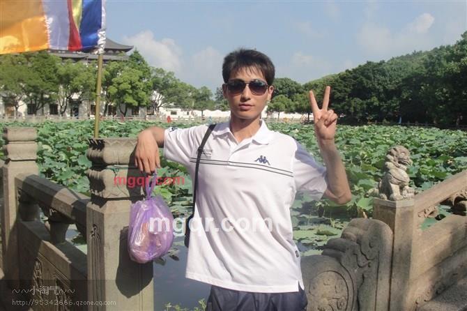 热玩的小猫的第1张照片