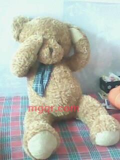 寂寞猫猫的第1张照片