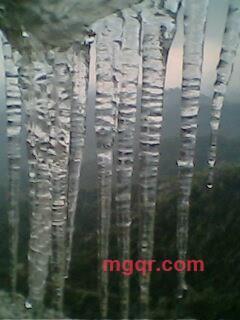 说话的狼的第5张照片