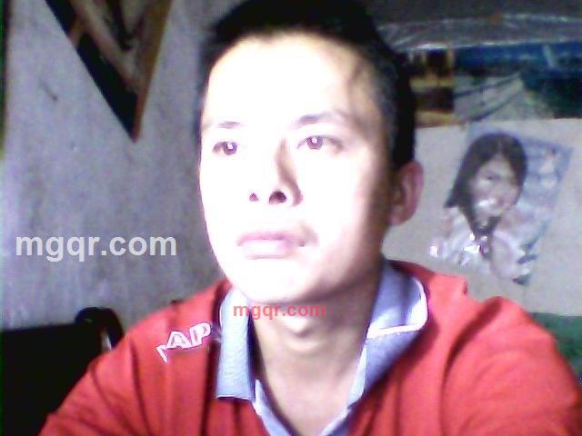 说话的狼的第1张照片