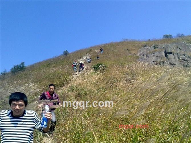 qda的第12张照片