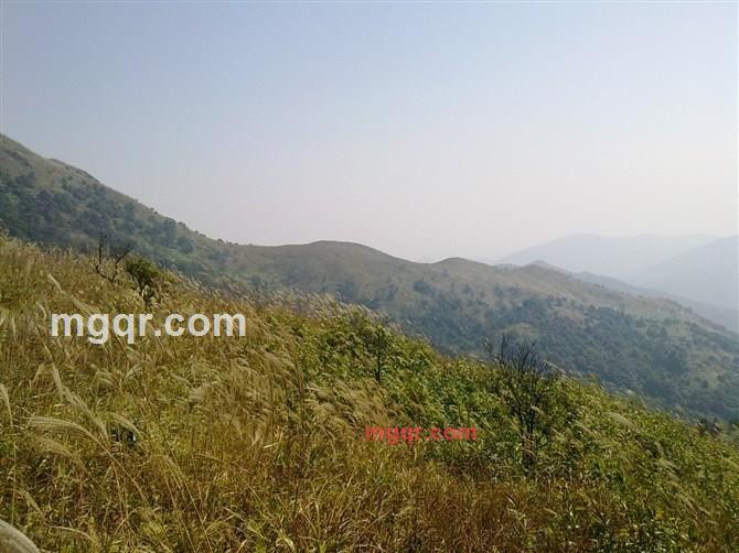 qda的第11张照片