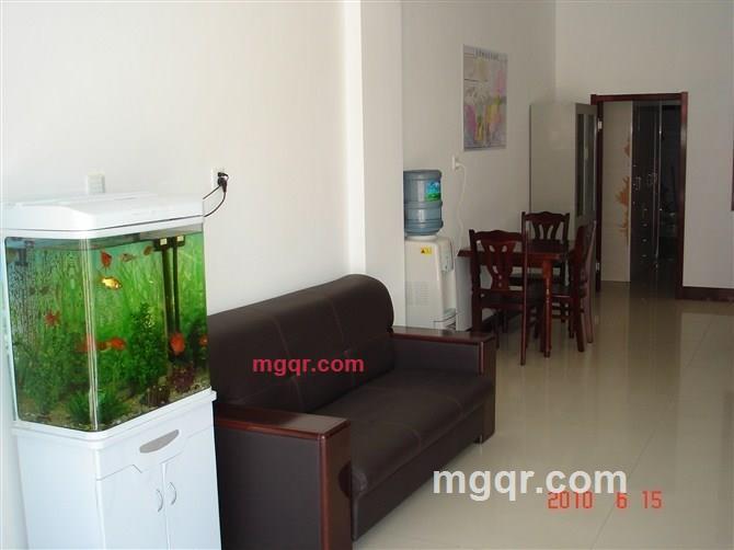 cxd001的第2张照片