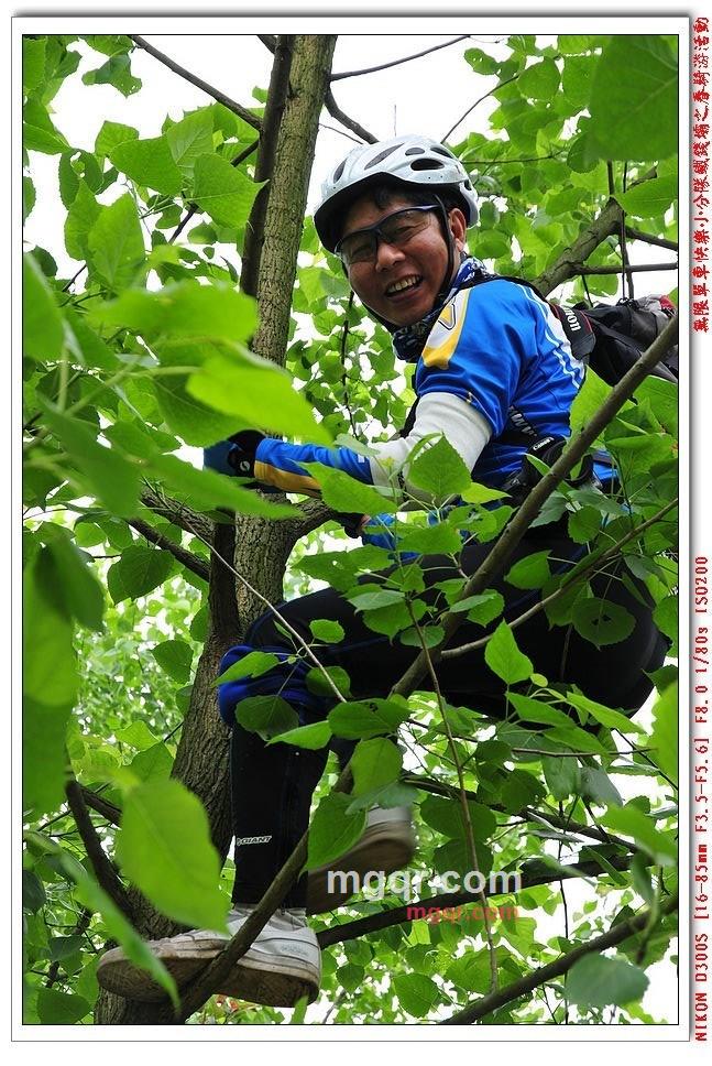 大仲马求缺的第1张照片