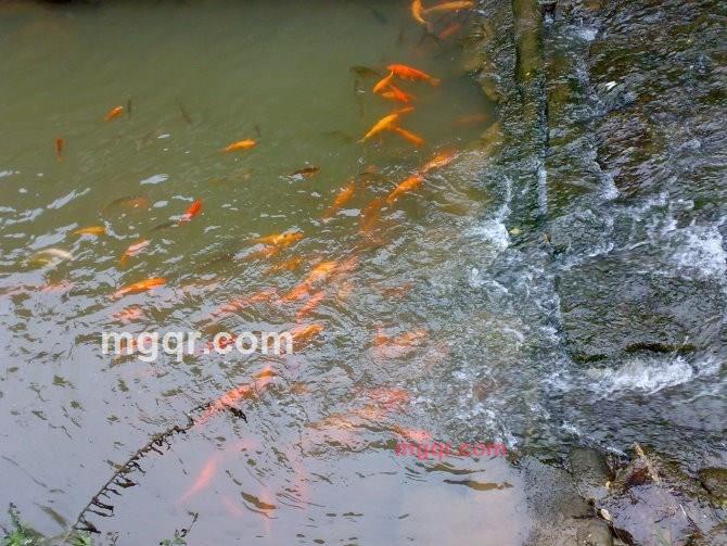 午夜的体温的第3张照片