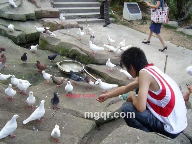 一次性的爱的第36张照片