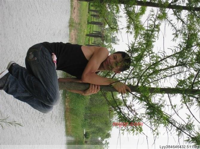 烟花易冷吗的第1张照片