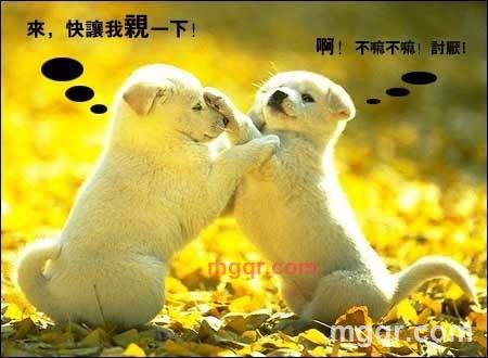 心如止水的第12张照片