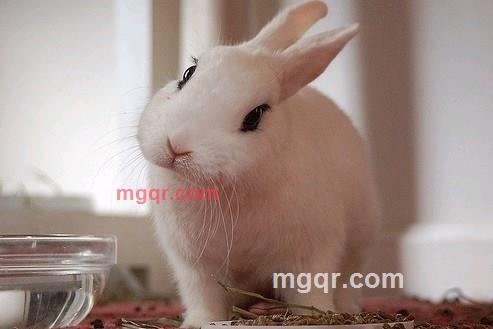 遇见---的第2张照片